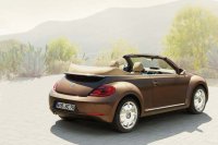 BEETLE (41)